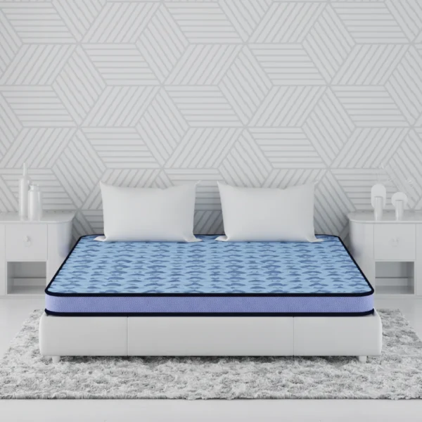DuoRest Popular Foam Mattress